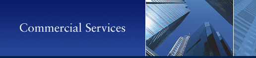LandAmerica Commercial Services